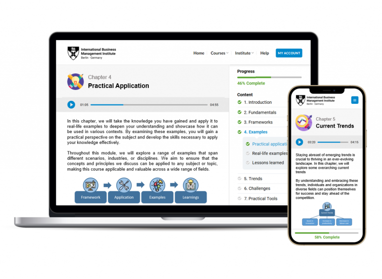 Preview of the IBMI online course interface